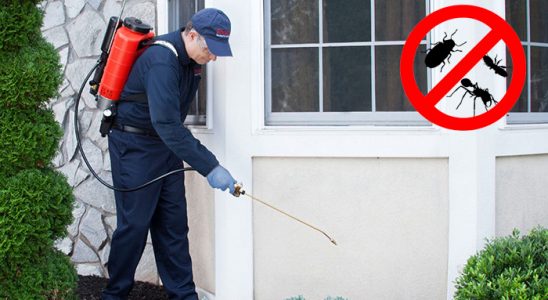Çamlıyayla Kene İlaçlama böcek ilaçlama ve haşere kontrolü — ilaclama-tr.com
